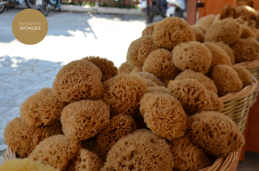 A basket of natural sponges on the counter of the shop at Yialos