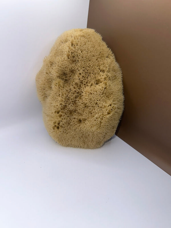 Silk Sponge, the fine pore that makes it soft