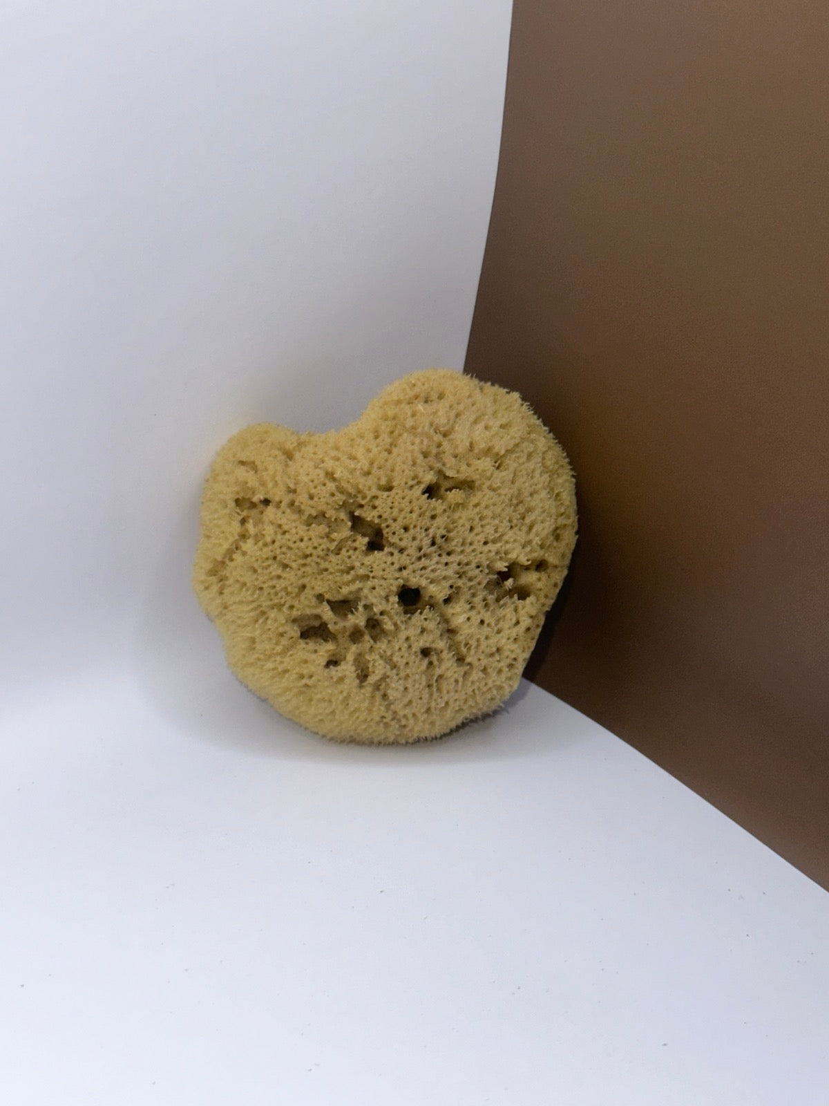 Silk Sponge, the 3 inch face size, for make-up