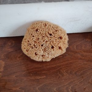Wool Sponge High Quality (7 Inch)