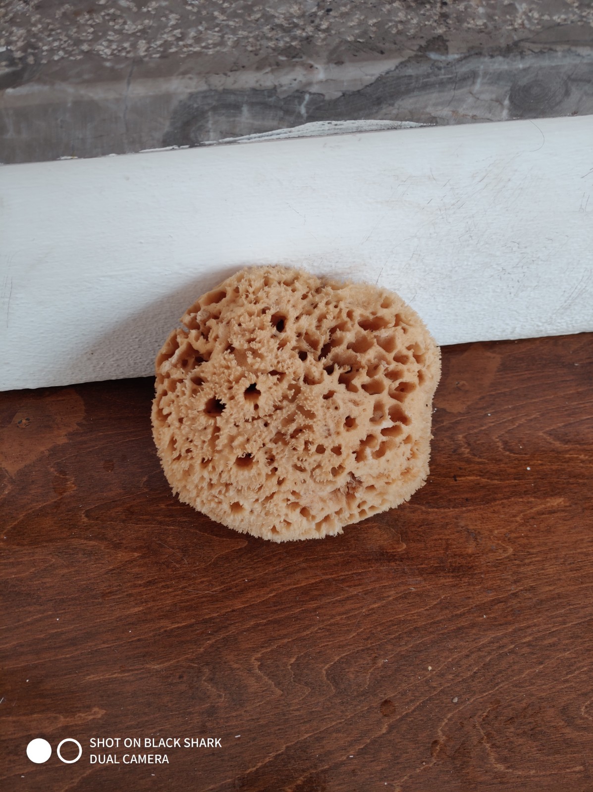 Wool Sponge High Quality (6 Inch)