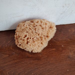 Wool Sponge High Quality (5 Inch)