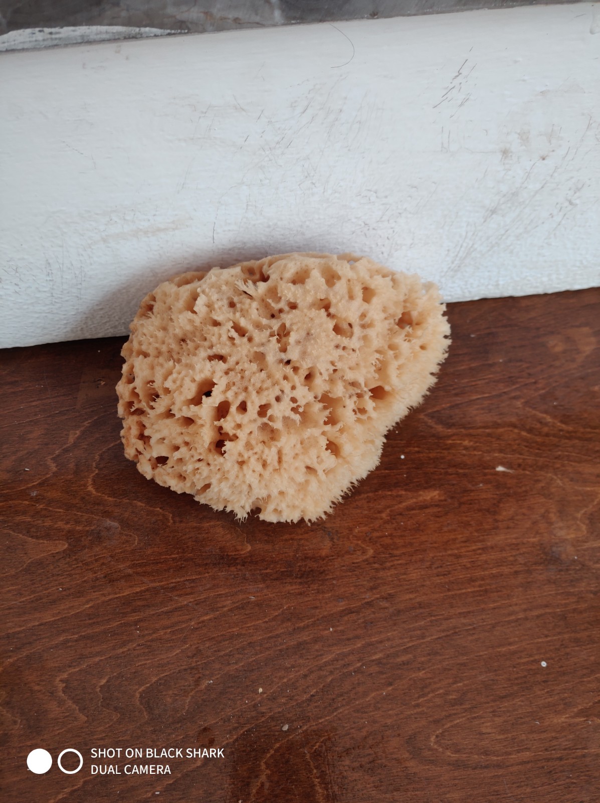 Wool Sponge High Quality (5 Inch)