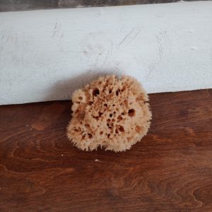 Wool Sponge High Quality (4 Inch)