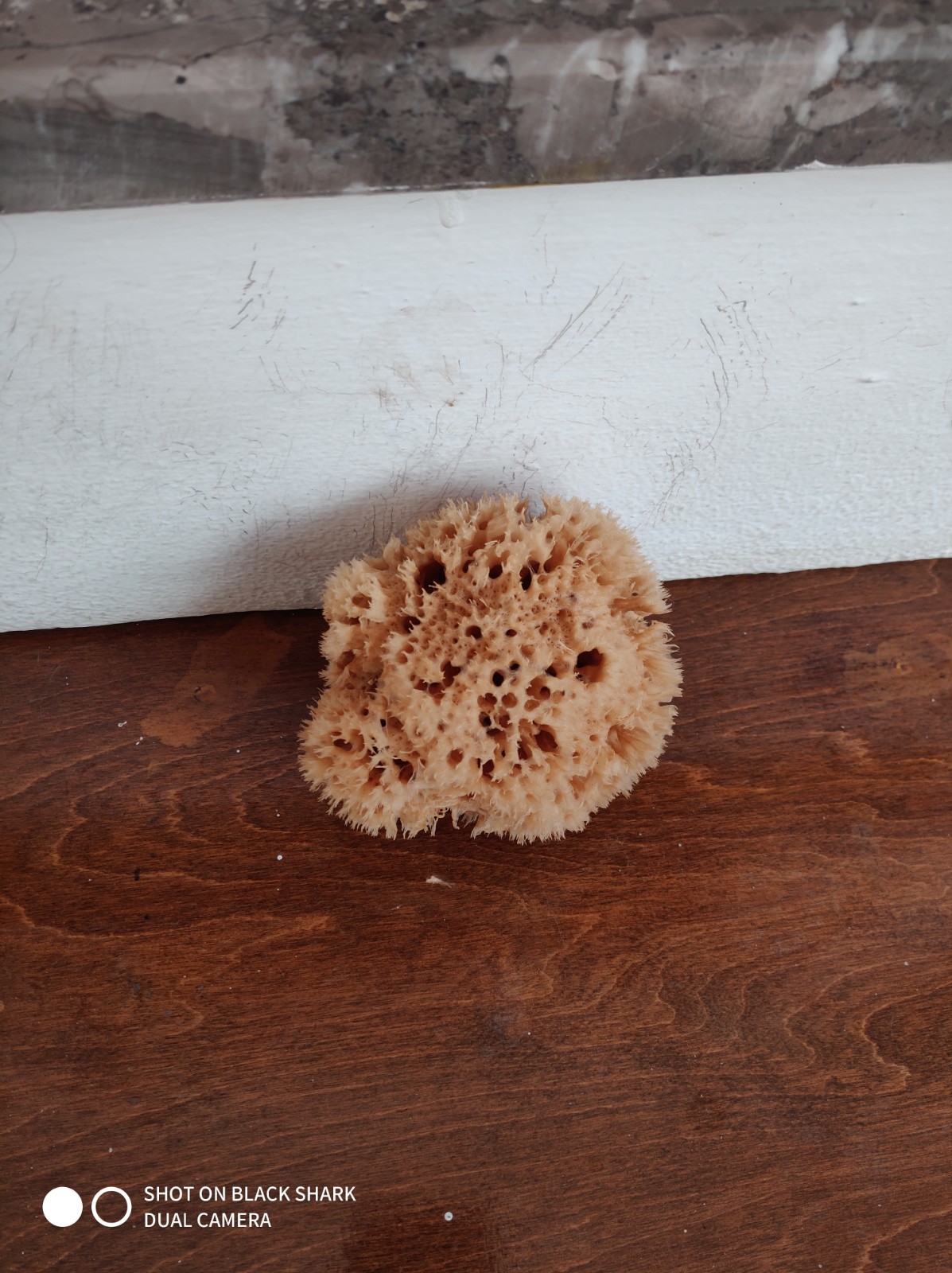 Wool Sponge High Quality (4 Inch)