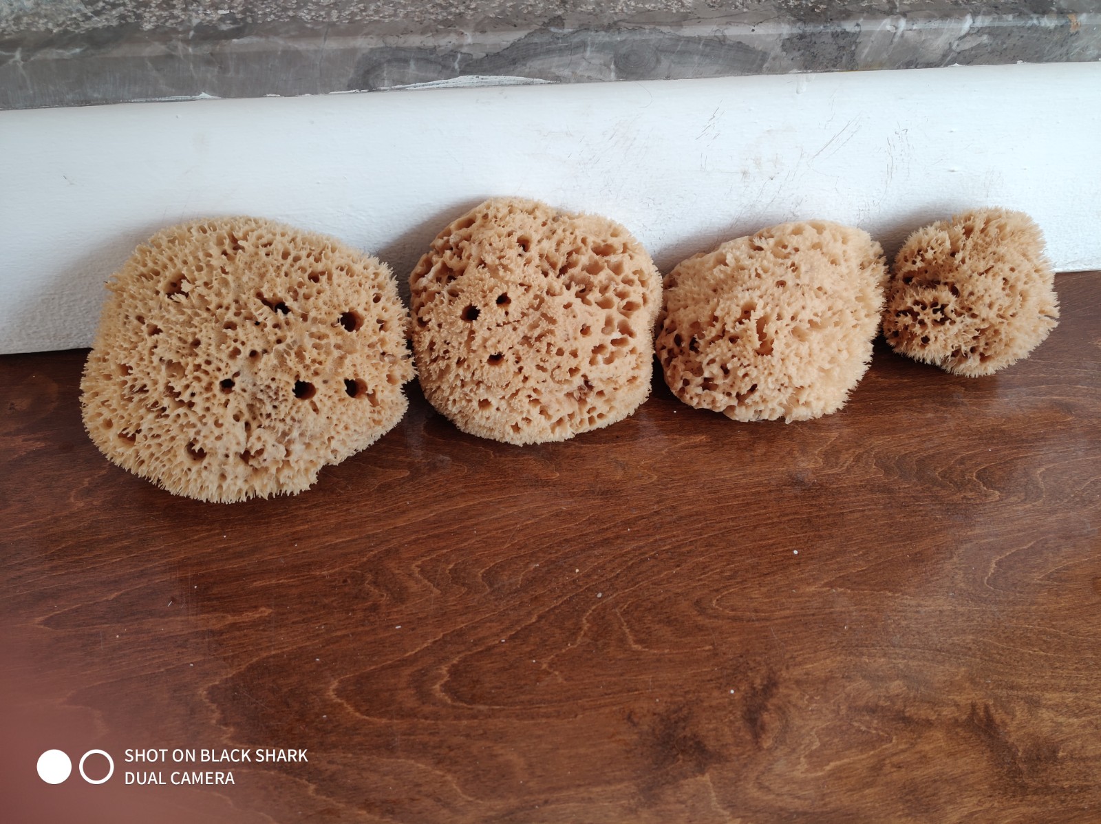 Wool Sponge High Quality (4 Inch) - Image 2