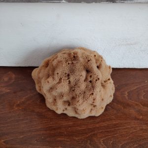 Silk Sponge (8 Inch)