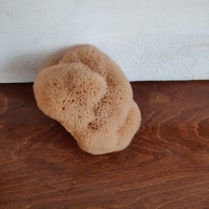 Silk Sponge (5.5 Inch)