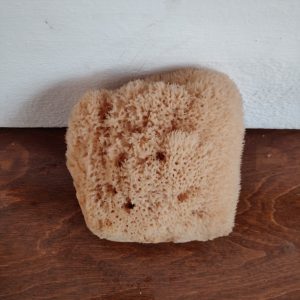 Silk Sponge (6 Inch)