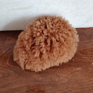 Wool Sponge (5 Inch)