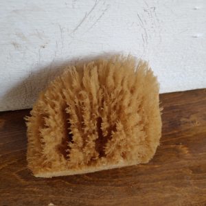 Wool Sponge (4 inch)