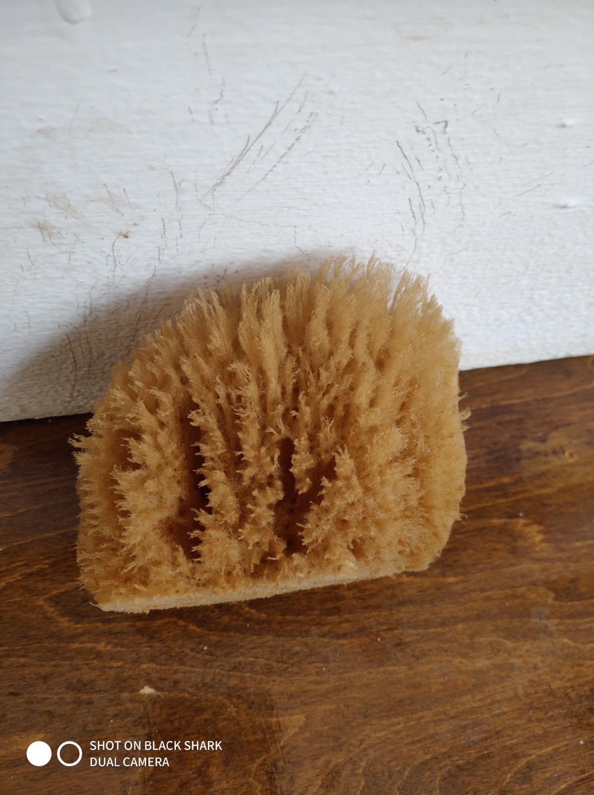 Wool Sponge (4 inch)