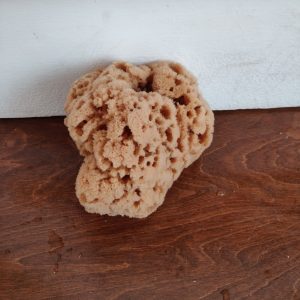 Peeling/Exfoliating Sponge (7 Inch)