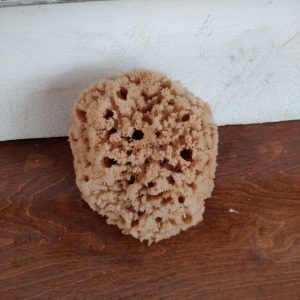 Peeling/Exfoliating Sponge (6 Inch)