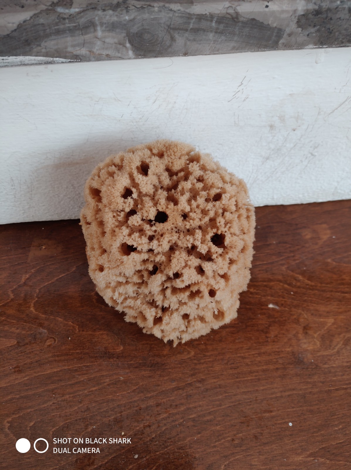 Peeling/Exfoliating Sponge (6 Inch)