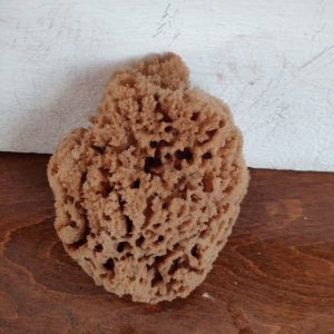 Peeling/Exfoliating Sponge (5 Inch)