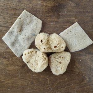 Face Sponges (one size)