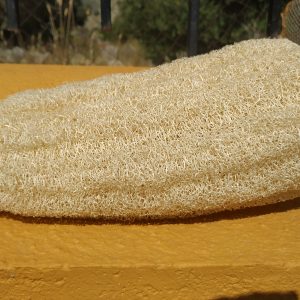 Half Size Loofah