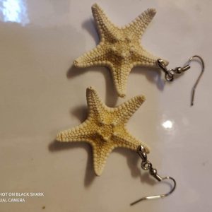 Starfish Earrings (1 inch)