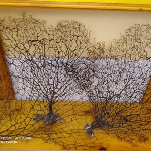 Black Coral (16 inch)