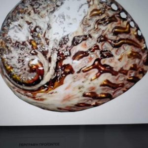Abalone Pebble Dash Shell (7 inch)