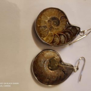 Ammonites Fossil Earrings (1.5 inch)