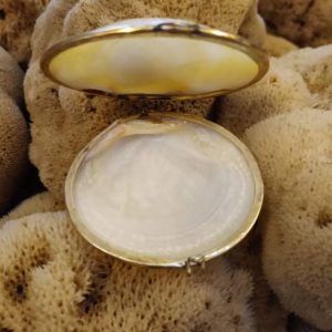 Shell Wallet (2.5 inch)