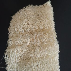 Cleaning/Scourer Loofahs (x10)