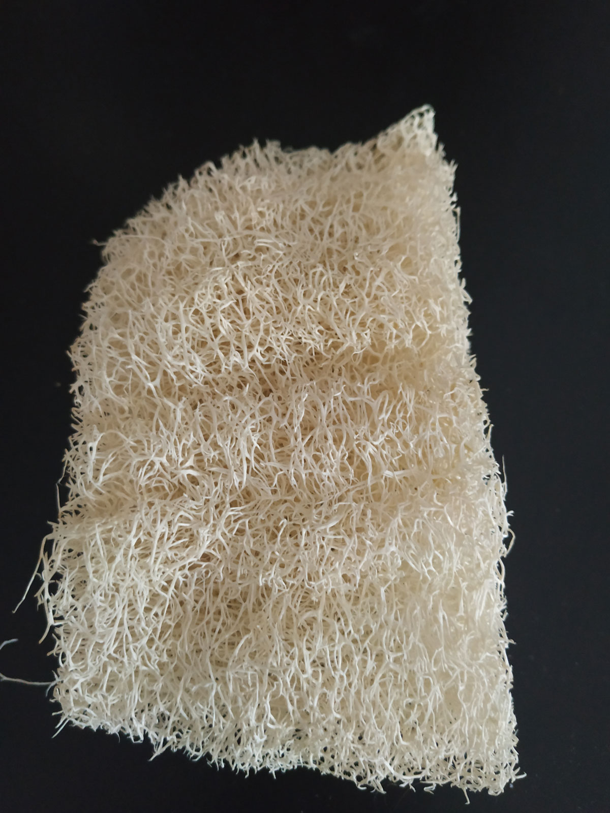 Cleaning/Scourer Loofahs (x10)