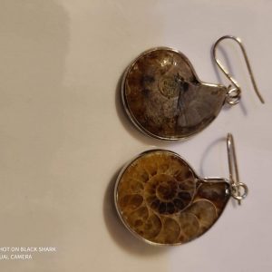 Ammonites Fossil Earrings (1 inch)