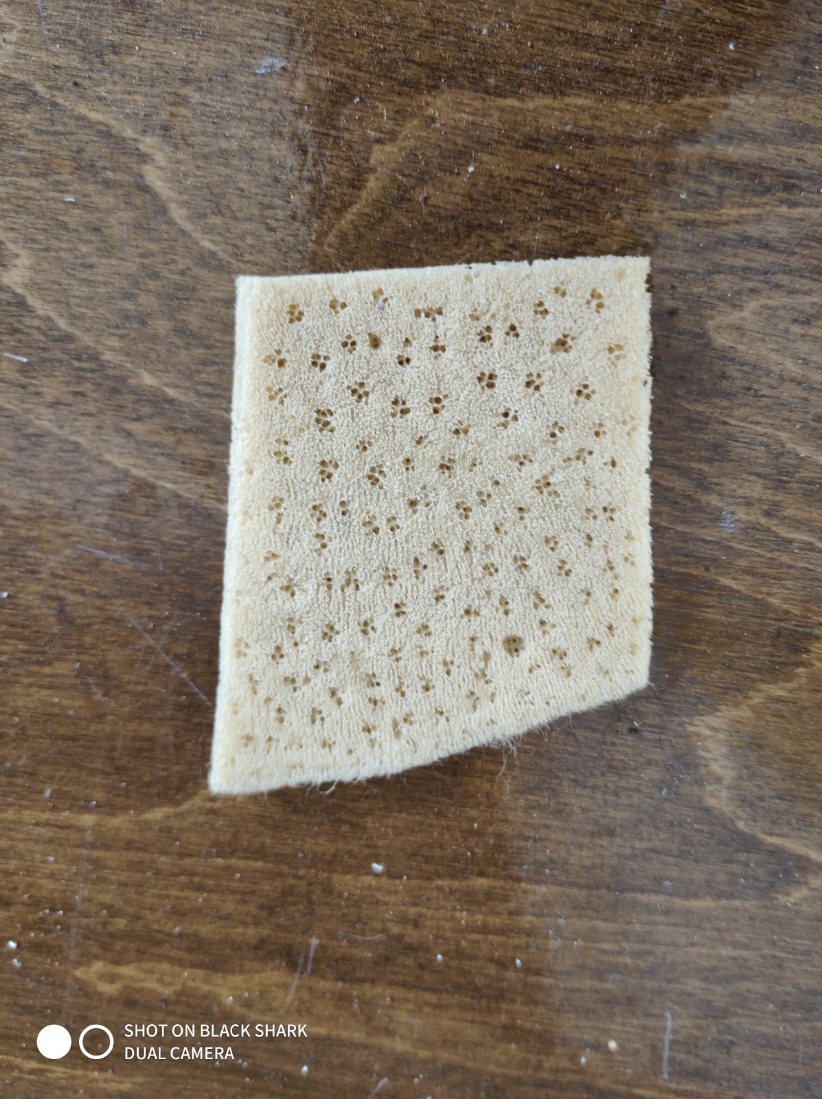 Face Sponges (one size) - Image 3
