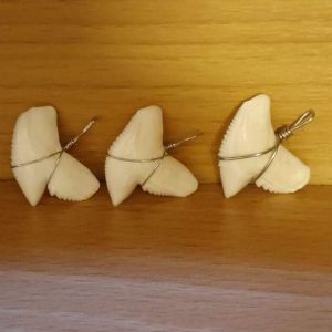 Shark Tooth Pendant (1 inch)