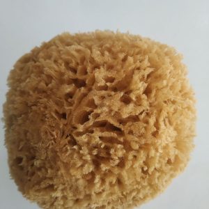 Car Wash Sponge