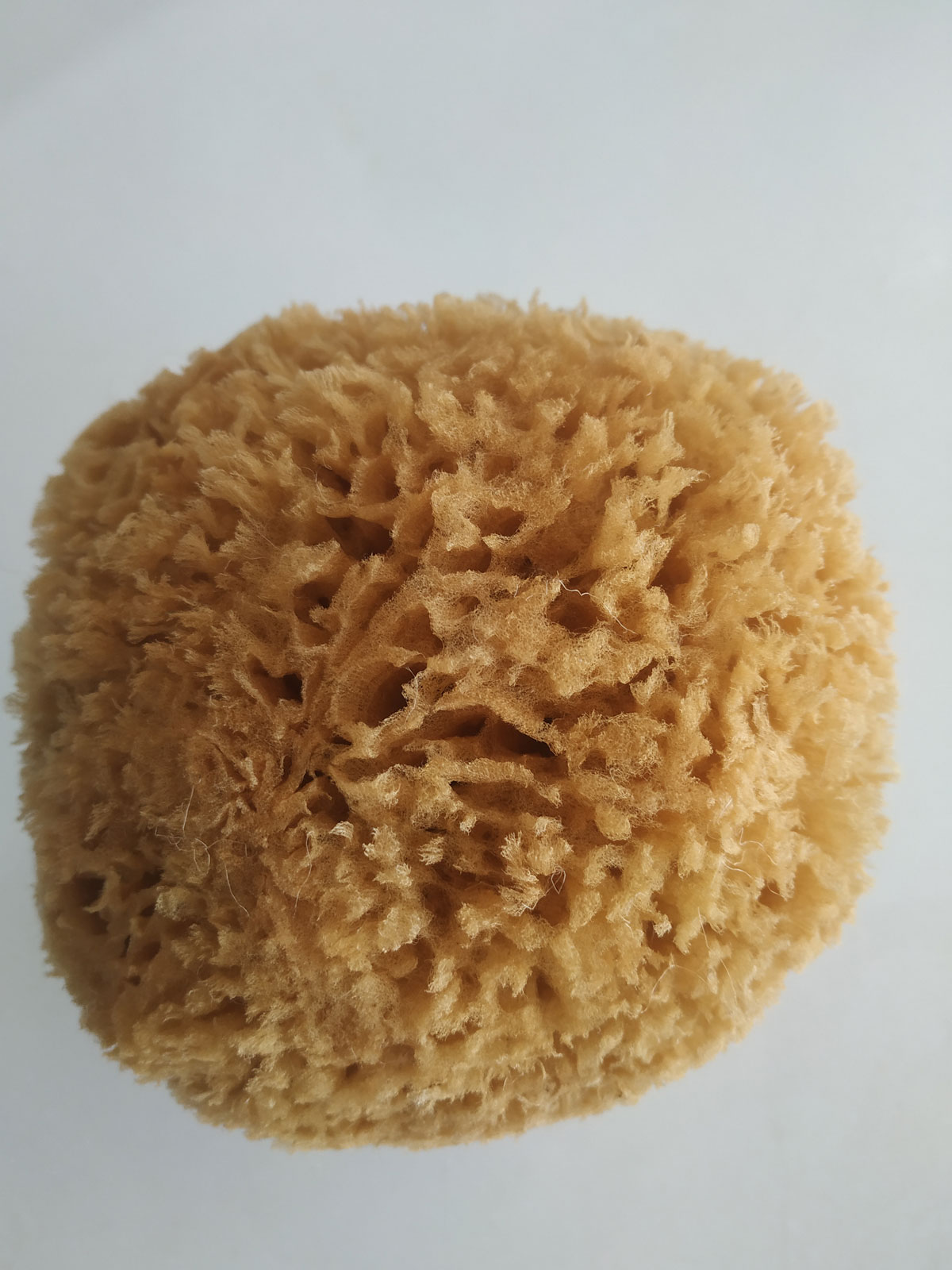 Car Wash Sponge
